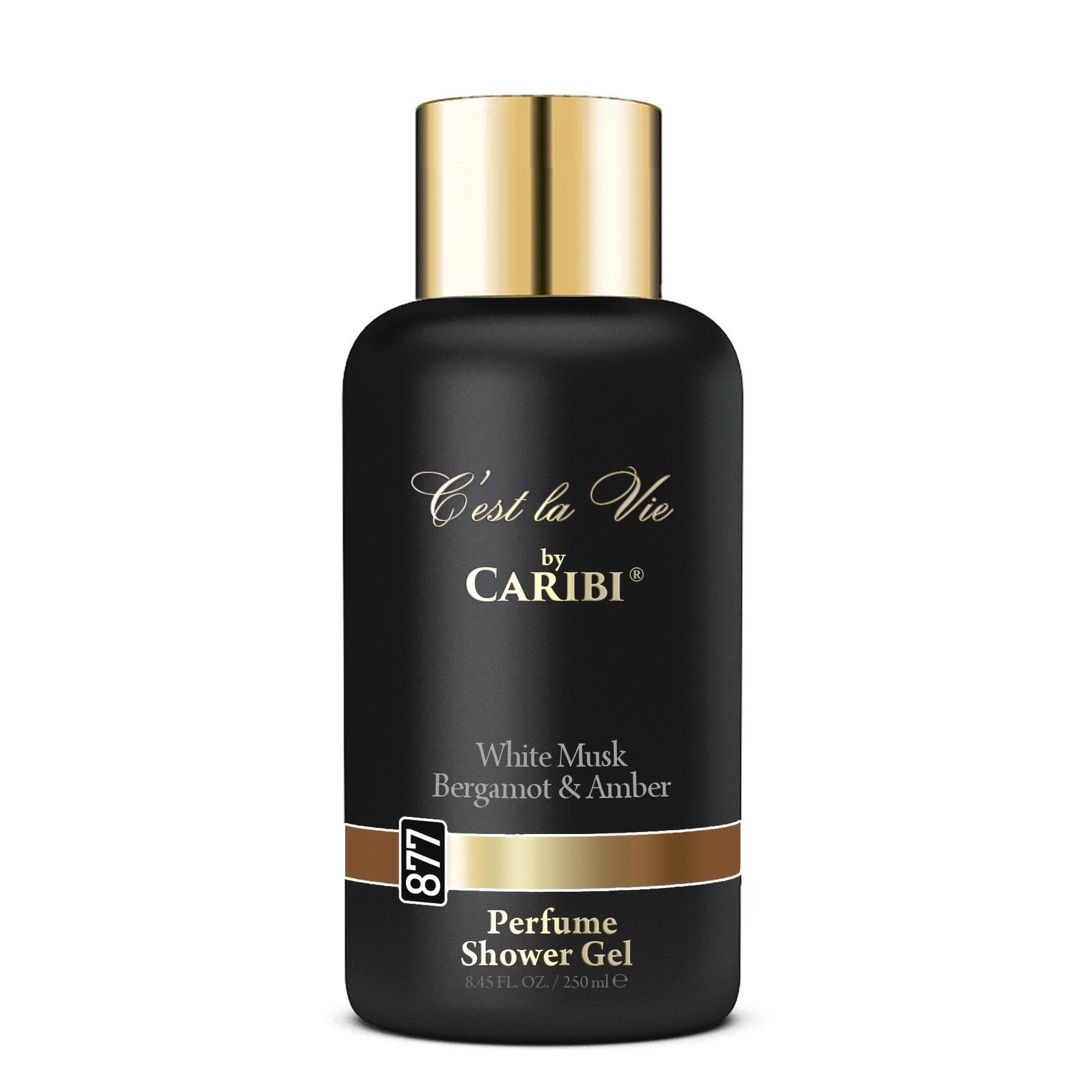 2172dbd3-0ef7-46ce-bb04-041370bf5150 (1)